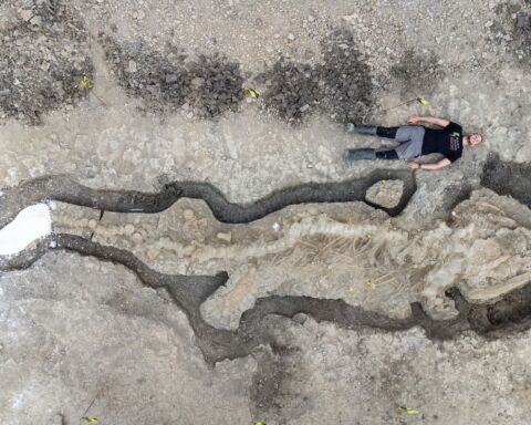 Dean Lomax deitado à beira do fóssil do ictiossauro.