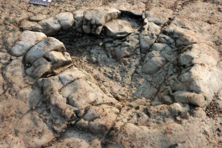 Pegadas descobertas numa praia do País de Gales que podem pertencer a um dinossauro que viveu há mais de 200 milhões de anos