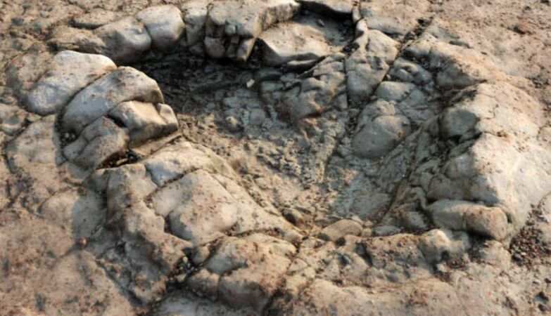 Pegadas descobertas numa praia do País de Gales que podem pertencer a um dinossauro que viveu há mais de 200 milhões de anos