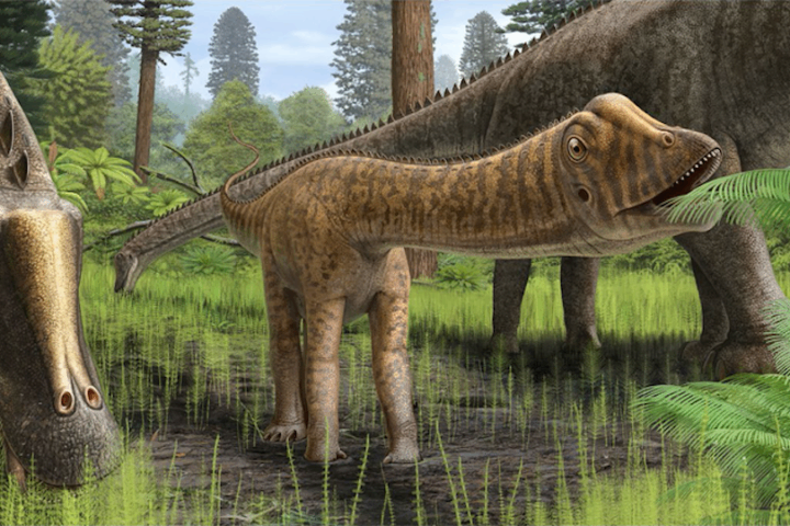 Jovem dinossauro Diplodocidae