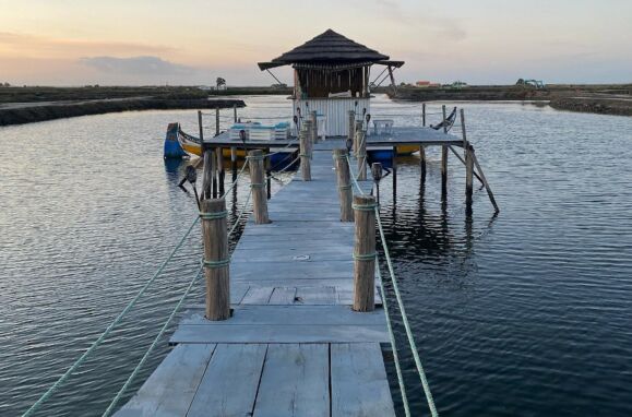 Ilha turística da Ostraveiro na ria de Aveiro.
