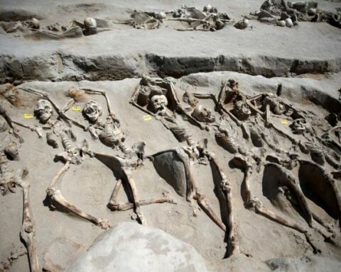 Esqueletos algemados encontrados em Faliro.