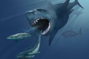 A razão por trás do misterioso desaparecimento do megalodonte, o maior  tubarão que já existiu, Ciência