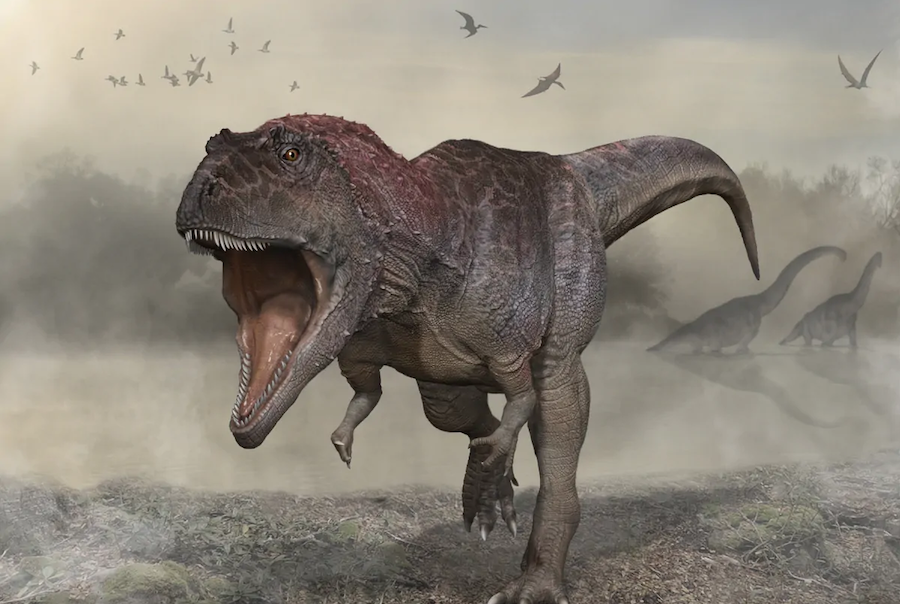 Dinossauro T-Rex afinal não era assim tão rápido como pensávamos