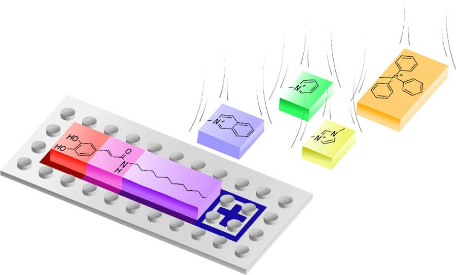 La chimie Lego peut aider à lutter contre les maladies neurodégénératives