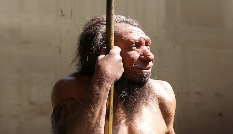 Nuestros primos neandertales abusaron de sus manos (y sabemos las consecuencias).