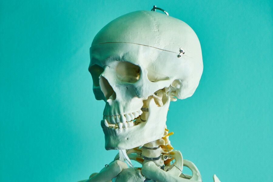 Cabeça de esqueleto de humano em fundo azulado esverdeado.