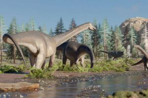Sidersaura marae sauropoda dinossauro