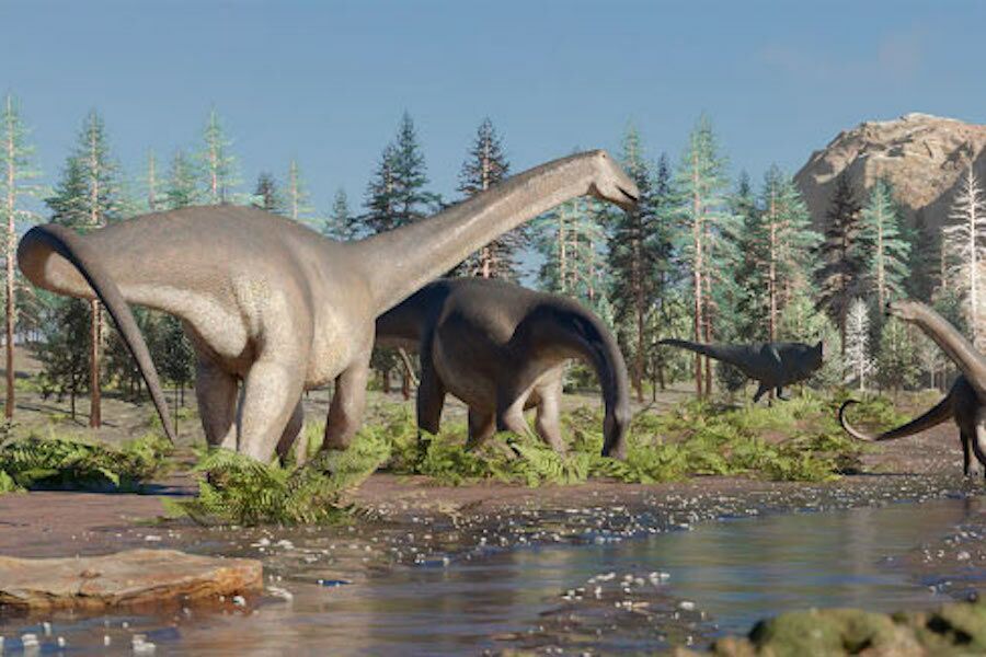 Nova espécie de dinossauro "cortador de relva" descoberta na Argentina