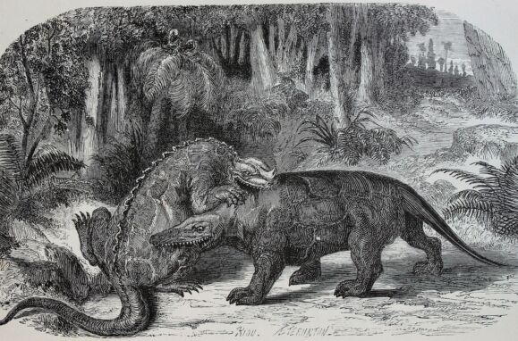 Representação clássica de uma luta entre um Iguanodonte e um Megalosaurus, criada em 1863 por Édouard Riou (1833–1900)