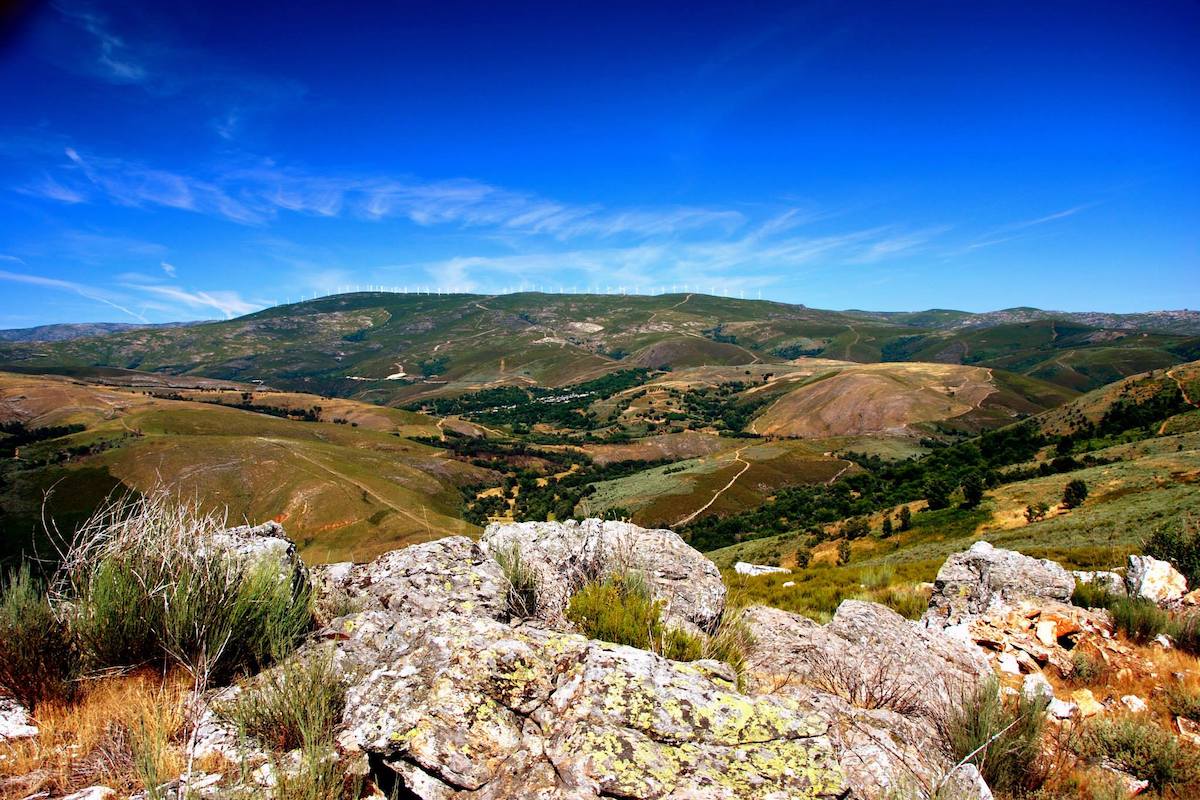 Portugal Falhou Na Proteção Da Biodiversidade E Pode Ser Castigado Pela ...