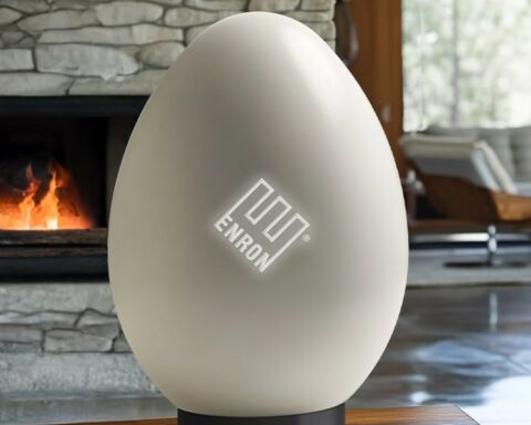 Enron Egg