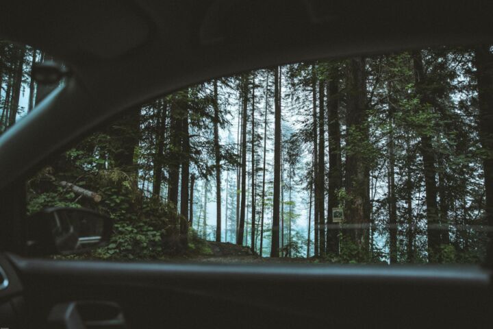 Panorâmica de floresta a partir de janela do carro.