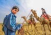 Um enorme deserto está a ficar verde. Cientistas descobriram porquê