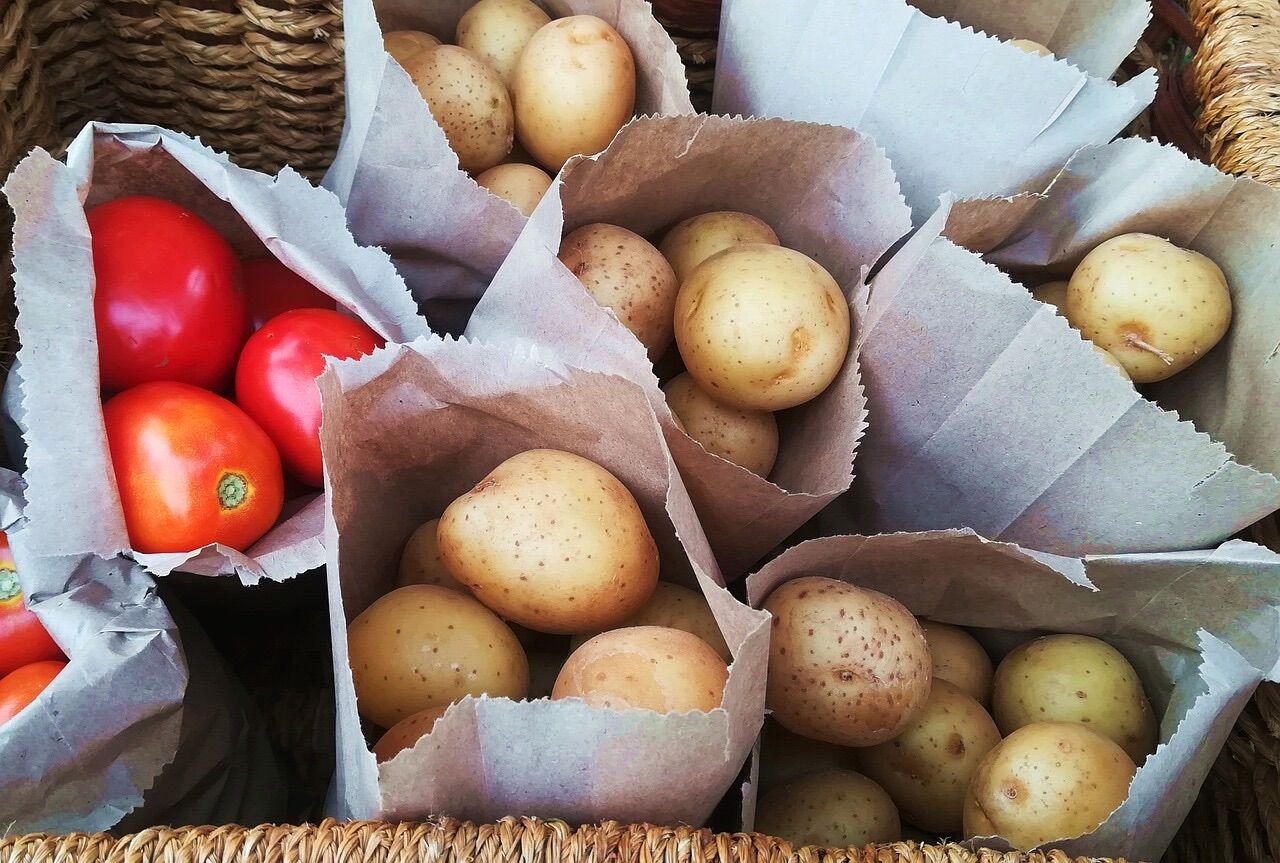 Sürpriz: Patates, vahşi bir çiçekle domates atasının toplantısından doğdu